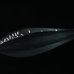 一星期八天之四 （2002)