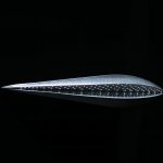 一星期八天之五 （2002)