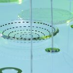 點系列 (5)-落葉 （2009)