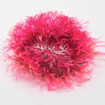 巢 -以首飾創作談同志的愛情與婚姻 羅硯澤創作