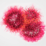 巢 -以首飾創作談同志的愛情與婚姻 羅硯澤創作