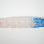 巢 -以首飾創作談同志的愛情與婚姻 羅硯澤創作